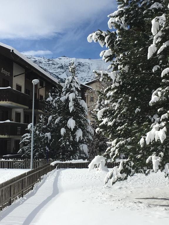 Sonnmatt Appartement